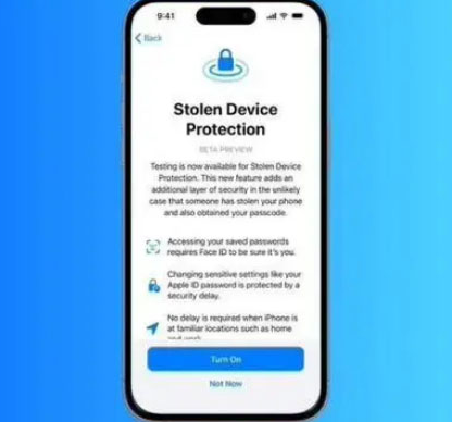 高坪苹果授权维修店分享被盗设备保护功能开启方法