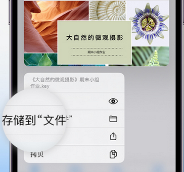 高坪apple维修中心分享iPhone文件应用中存储和找到下载文件