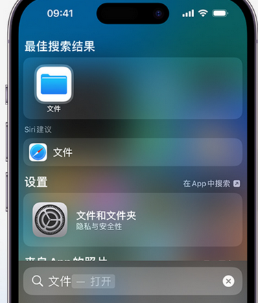 高坪apple维修中心分享iPhone文件应用中存储和找到下载文件 