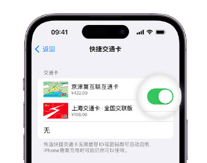 高坪apple维修点分享iPhone上更换Apple Pay快捷交通卡手绘卡面 