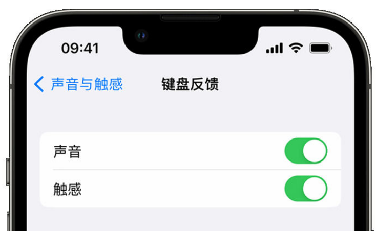 高坪苹果手机维修分享iPhone 14触感键盘使用方法 