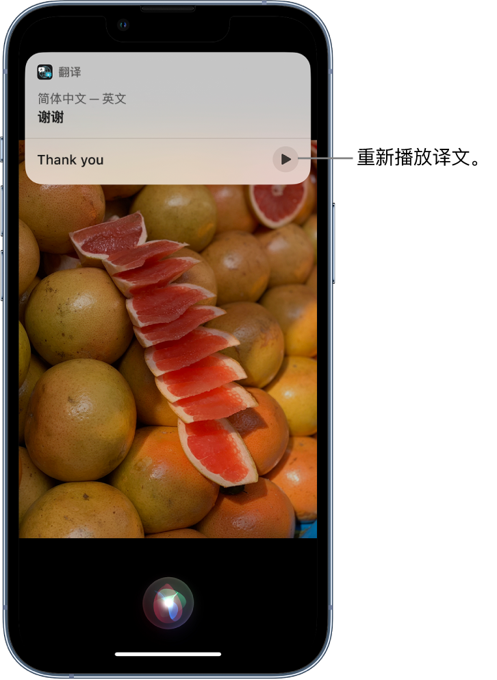 高坪苹果14维修分享 iPhone 14 机型中使用 Siri：了解 Siri 能帮你做什么 