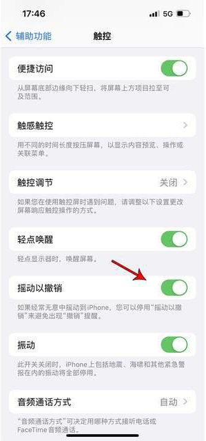 高坪苹果手机维修分享iPhone手机如何设置摇一摇删除文字 