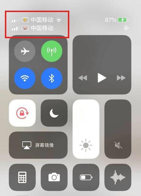 高坪苹果手机维修分享为 iPhone 12 双卡设置标签 